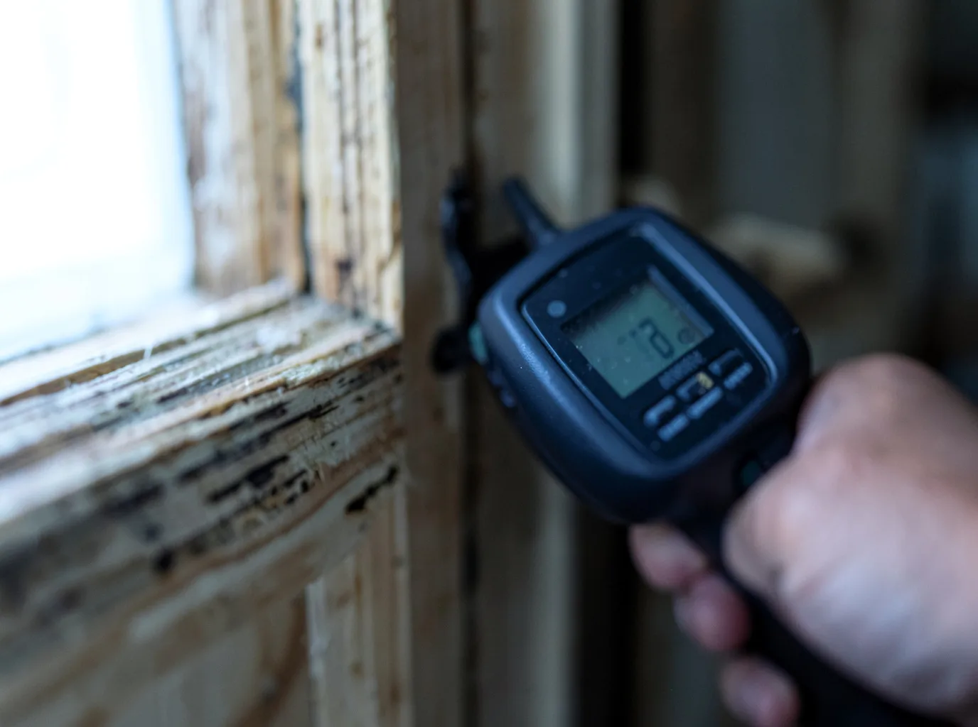 Commercial Water Damage Restoration in Grasston, MN